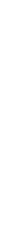 器と共に表現する料理。