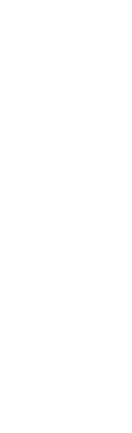 鹿児島抹茶と薬膳ティーを食後に。