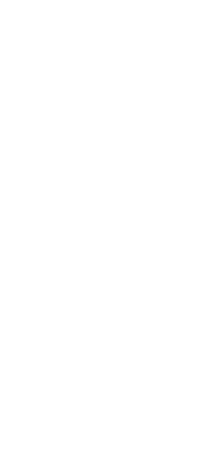 器と共に表現する料理。