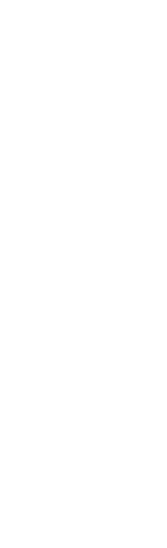 鹿児島抹茶と薬膳茶を食後に。